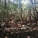 Anaga Y La Laguna A Tus Pies Apartamento *