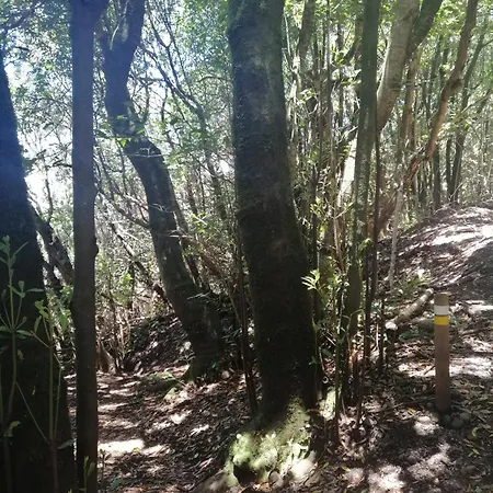 Apartmán Anaga Y La Laguna A Tus Pies