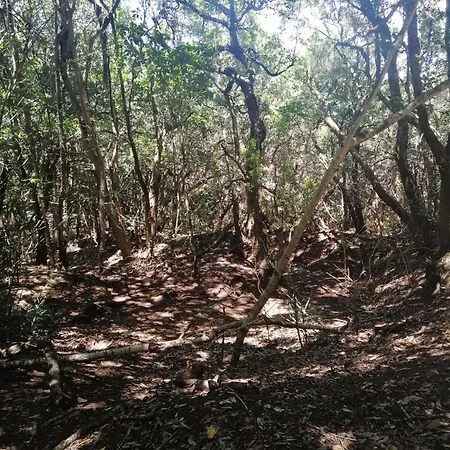 Anaga Y La Laguna A Tus Pies Apartmán *