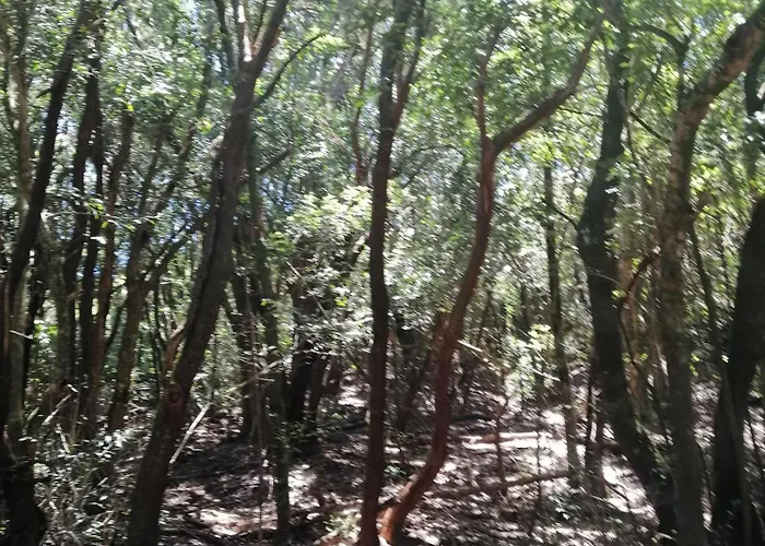 Anaga Y La Laguna A Tus Pies アパート