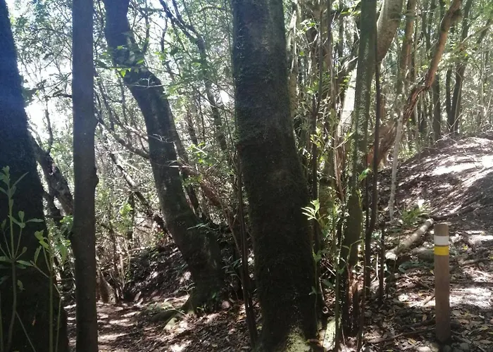 Apartament Anaga Y La Laguna A Tus Pies