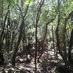 Anaga Y La Laguna A Tus Pies Apartament