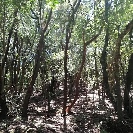 Anaga Y La Laguna A Tus Pies Lejlighed
