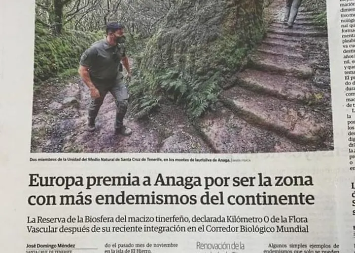 Anaga Y La Laguna A Tus Pies Апартаменты Санта-Крус-де-Тенерифе